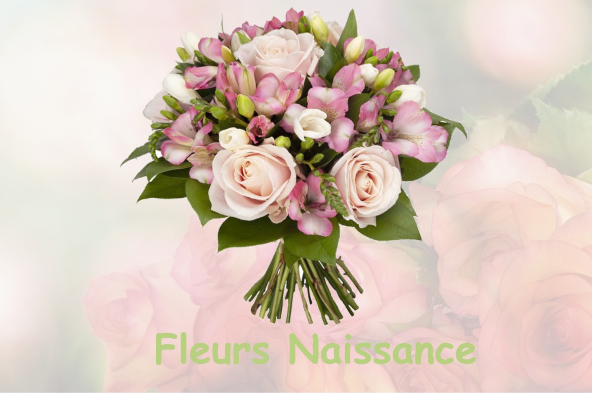 fleurs naissance FRESNE-L-ARCHEVEQUE